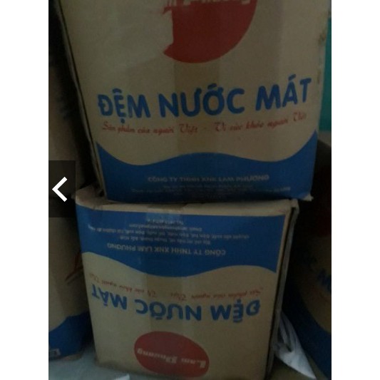 [Shopee giá rẻ] Đệm nước mát cho người lớn/trẻ em