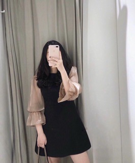 Đầm đen phối