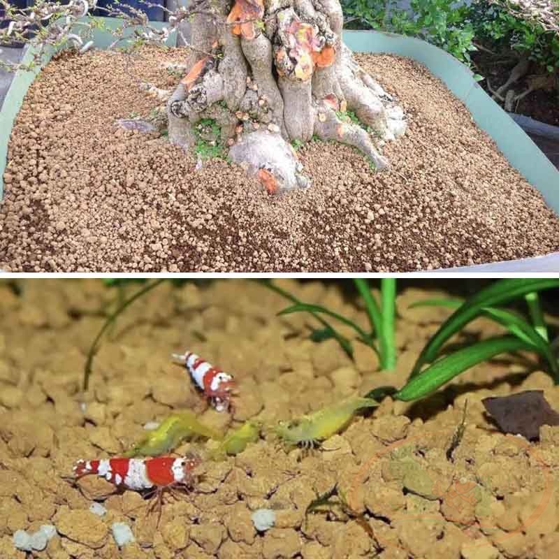 Nền Shosei Akadama Soil đất nung túi 1 lít giá thể trồng cây bonsai sen đá bể thủy sinh cá tép