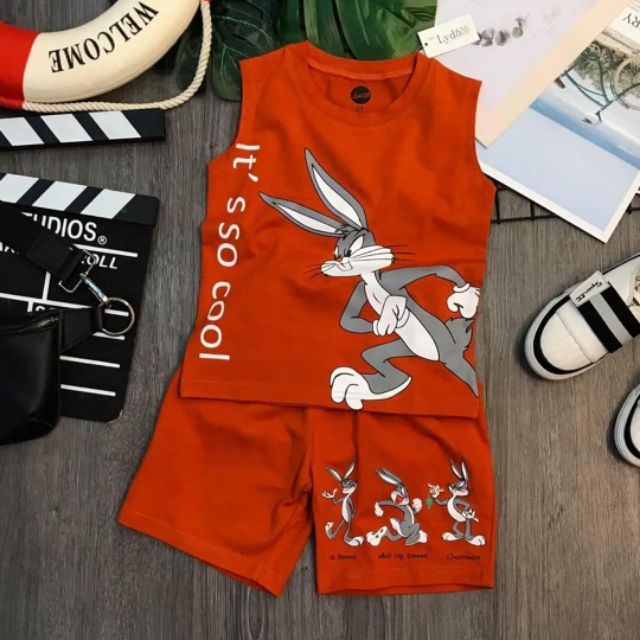 Bộ thun bé trai size 12-28kg Lydo