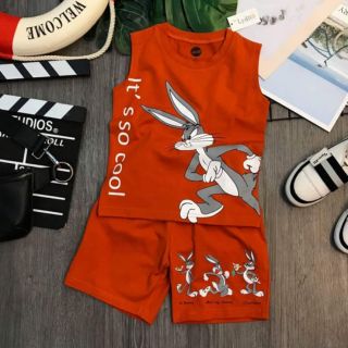 Bộ thun bé trai size 12-28kg Lydo