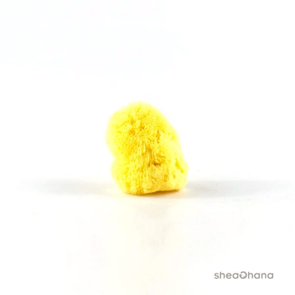 Bọt biển Fine Silk