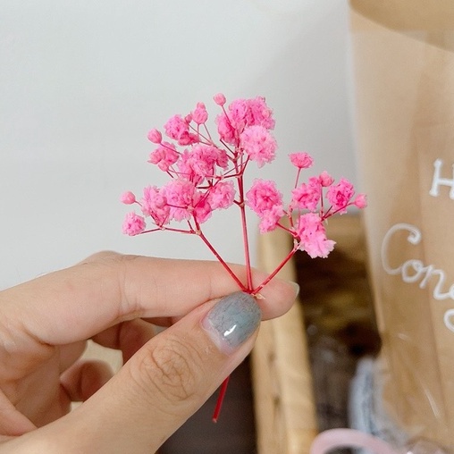 Nhánh hoa baby khô, hoa trang trí thiệp, bánh kem, qùa tặng