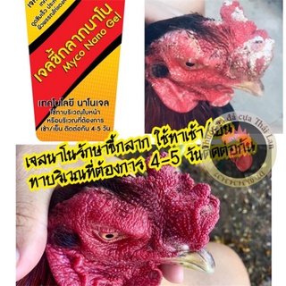 Myco nano gel - 1 típ | đặc trị lác nấm mốc cho gà chọi dạng típ bôi , siêu hiệu quả