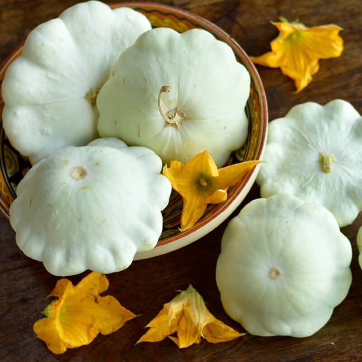 Hạt giống Bí đĩa bay trắng (1g)
