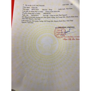 Cốt Gừng Tràm Trà ( GreenLab)