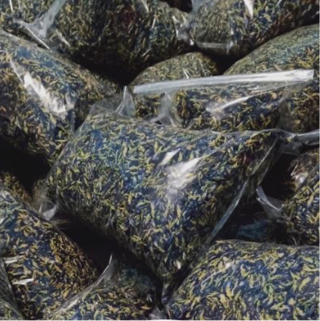 1kg Hoa Đậu Biếc Khô