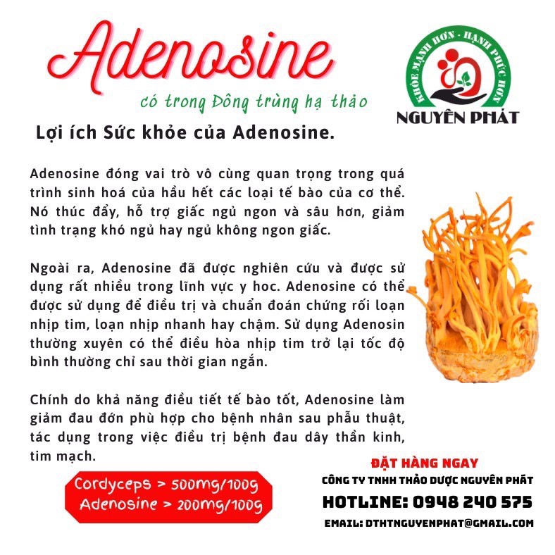 Mật ong ngâm đông trùng hạ thảo Nguyên Phát hộp 100ml nuôi cấy cao cấp - Bồi bổ cơ thể - Tăng sức đề kháng | BigBuy360 - bigbuy360.vn