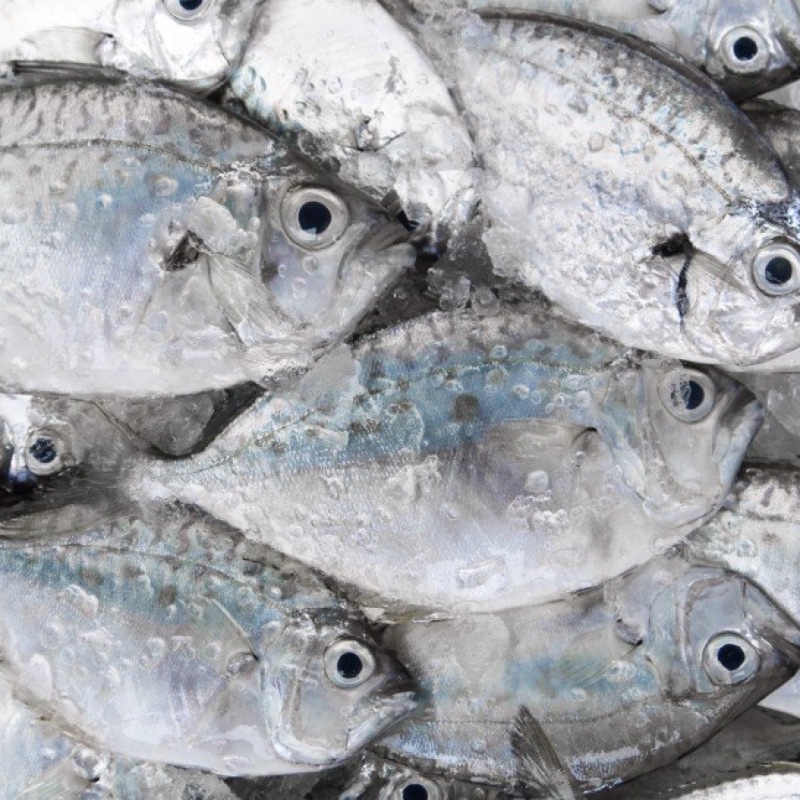 Cá liệt sứa làm sạch (~10c/kg) ~0.5kg