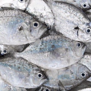 Cá liệt sứa làm sạch ~0.5kg