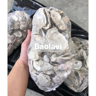VỎ HÀU ION , vật liệu lọc giúp ổn định PH của hồ cá (bao 1.5kg và 2kg)