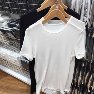 Set 4 áo thun cổ tim Uniqlo (auth)