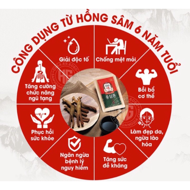 Tinh Chất Hồng Sâm Good Time Gold Red Ginseng Stick 10g x 10 gói- nhân sâm đỏ Hàn Quốc Pungnieonbogam 6 năm
