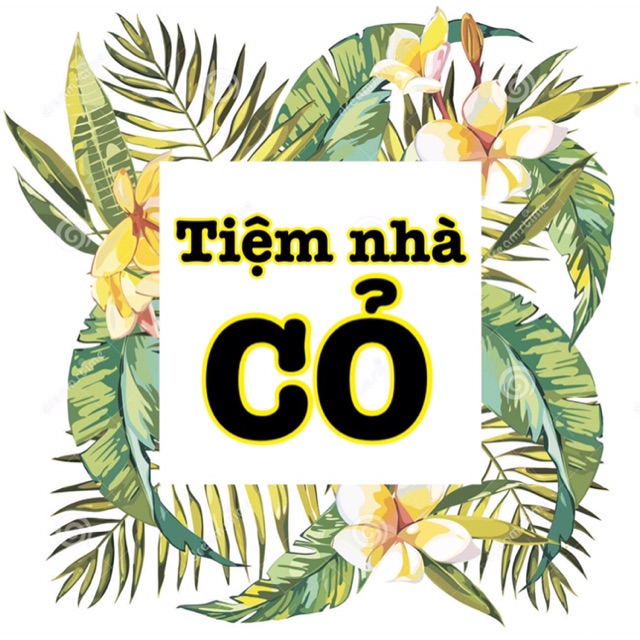 Combo 3 váy cho chi Hanah quách