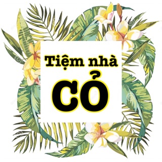Combo 3 váy cho chi Hanah quách