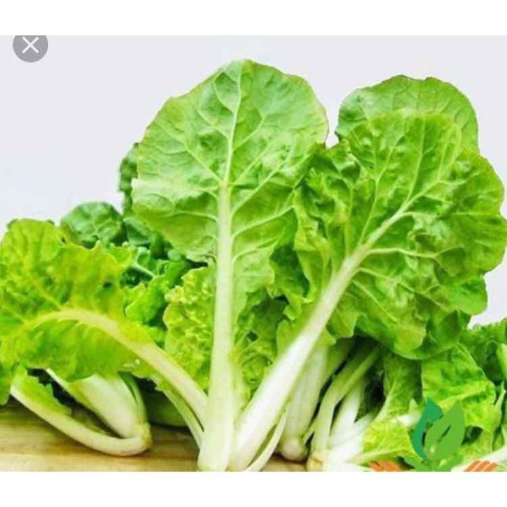 Hạt cải bẹ dún - gói 10 gram