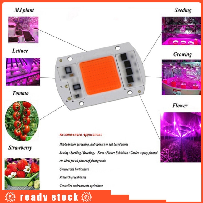 Đèn led 15W/20W/30W/50W dành cho sự quang hợp của thực vật