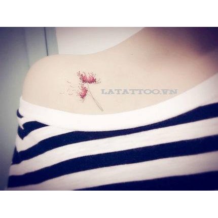 [FOLLOW SHOP SĂN DEAL HOT] XĂM DÁN - A1348