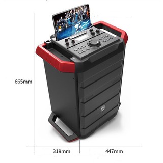 [Sale toàn quốc] Loa kéo 3 tấc gỗ Malata 9810 đánh bật mọi cảm xúc tặng kèm 2 micro cầm tay chuyên nghiệp.