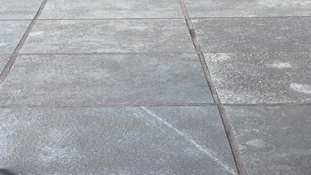 Áo Polo nam BBR cổ bẻ họa tiết thun basic cộc tay phong cách trẻ trung chuẩn form | BigBuy360 - bigbuy360.vn