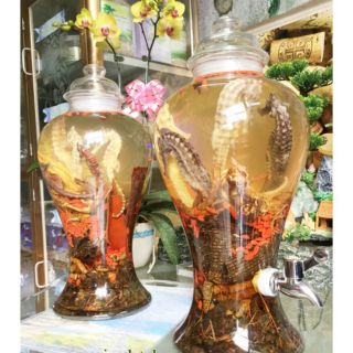 Combo đủ vị - cá ngựa ba kích dâm dương ...