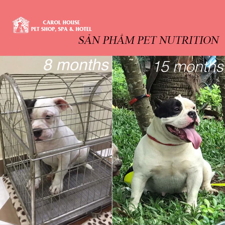 LIQUID NUTRITION 1000ML - GIẢI PHÁP DINH DƯỠNG NỀN TẢNG HÀNG NGÀY CHO THÚ CƯNG CỦA BẠN