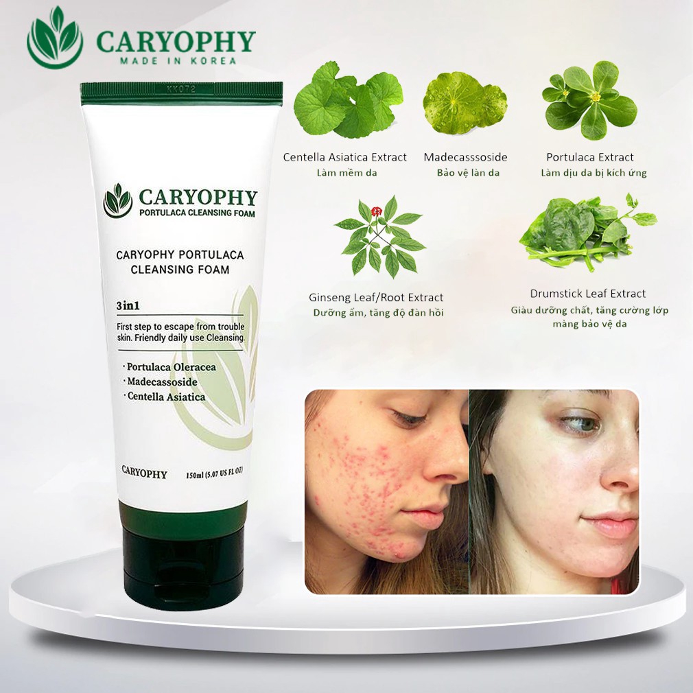 Sửa rửa rặt hỗ trợ làm sạch mụn hiệu quả caryophy portulaca cleansing foam 150ml skin hub | BigBuy360 - bigbuy360.vn