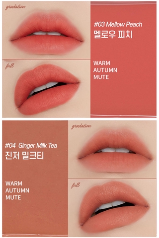 Etude Fixing Tint 4g (Waterproof)