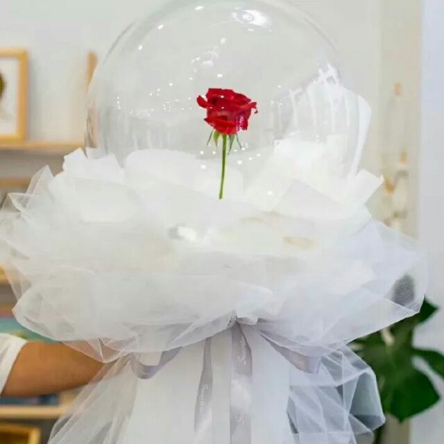 10 Bóng jumbo trong suốt(có video hướng dẫn)