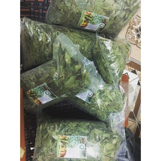1KG LÁ MÓC MẬT KHÔ CHÍNH GỐC LẠNG SƠN (SẤY LẠNH)