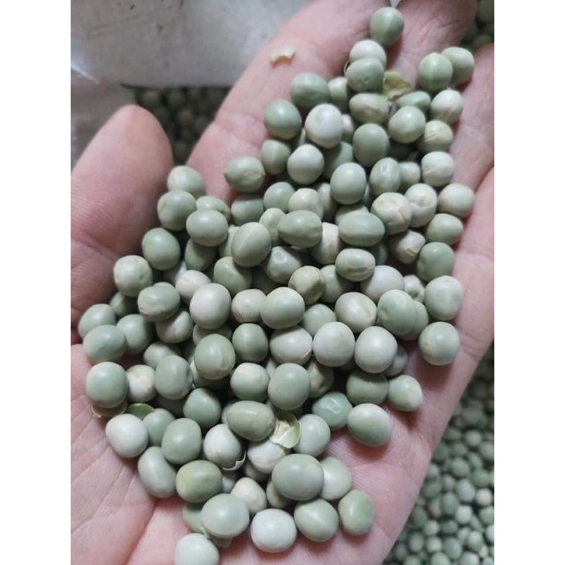 500gr Đậu Hà Lan xanh Mỹ - Đậu hà lan hữu cơ dùng làm hạt giống rau mầm đậu Hà Lan - Mẩy Mẩy shop hạt dinh dưỡng