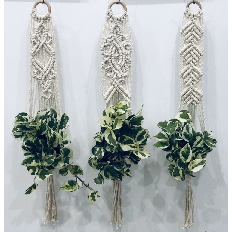 (giá sỉ) dây macrame trang trí phòng siêu xinh