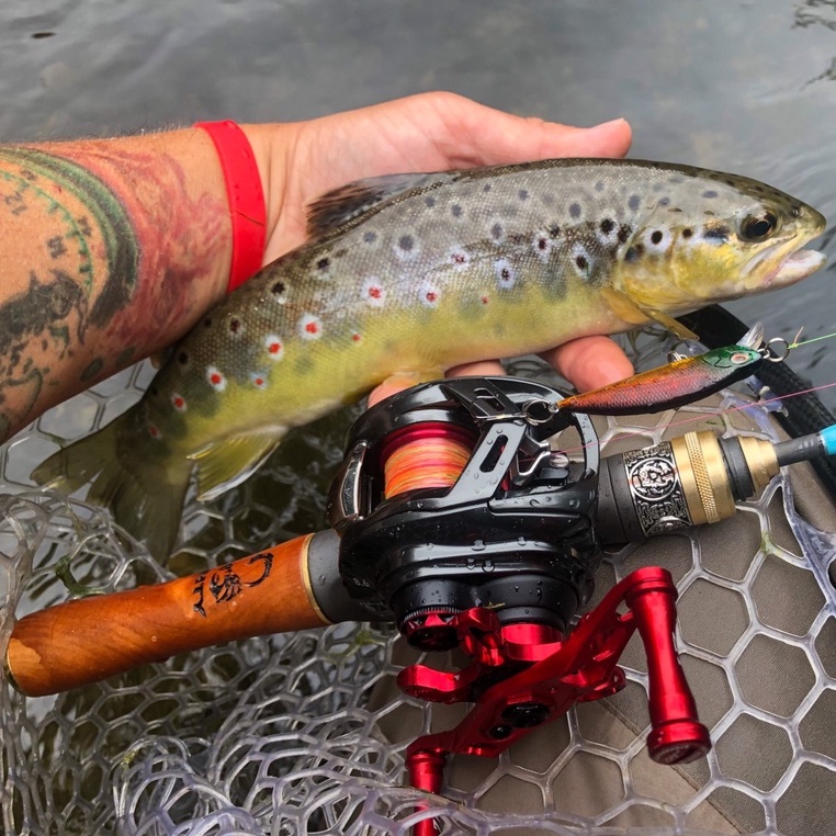 Cần câu lure UL carbon Lemoren cao cấp Phukiencaulure25 Cần ultralight Carbon cán gỗ cao cấp, siêu gọn, đẹp