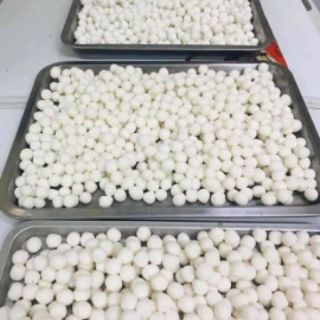 Chân trâu trắng nhân dừa 1 kg