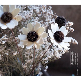 HOA CÚC TRẮNG 🥭FREESHIP🥭decor trang trí Vintage, trang trí resin, handmade - Lẻ cành đẹp