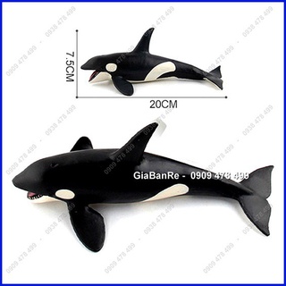 Mô Hình Cá Voi Sát Thủ - Hunter Whale 20cm - 7673.8
