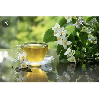 Lục Trà Lài Tân Nam Bắc
