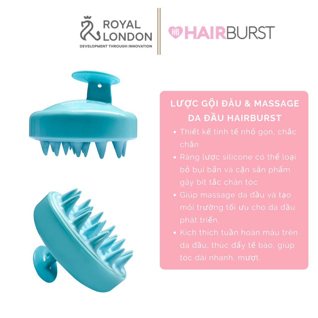 Lược gội đầu và massage da đầu kích thích mọc tóc Hairburst