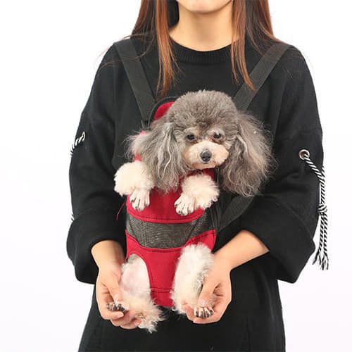 Địu thú cưng (chó mèo) size L 3-5kg