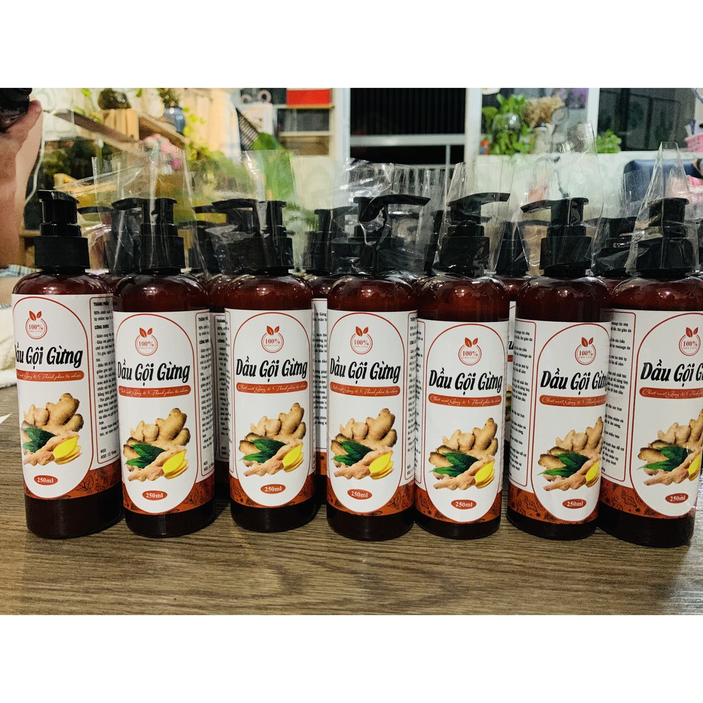 Dầu gội gừng tươi thảo mộc, Sạch Gàu giảm rụng tóc, sản phẩm Handmade, chai 500ml - Goss Việt | BigBuy360 - bigbuy360.vn