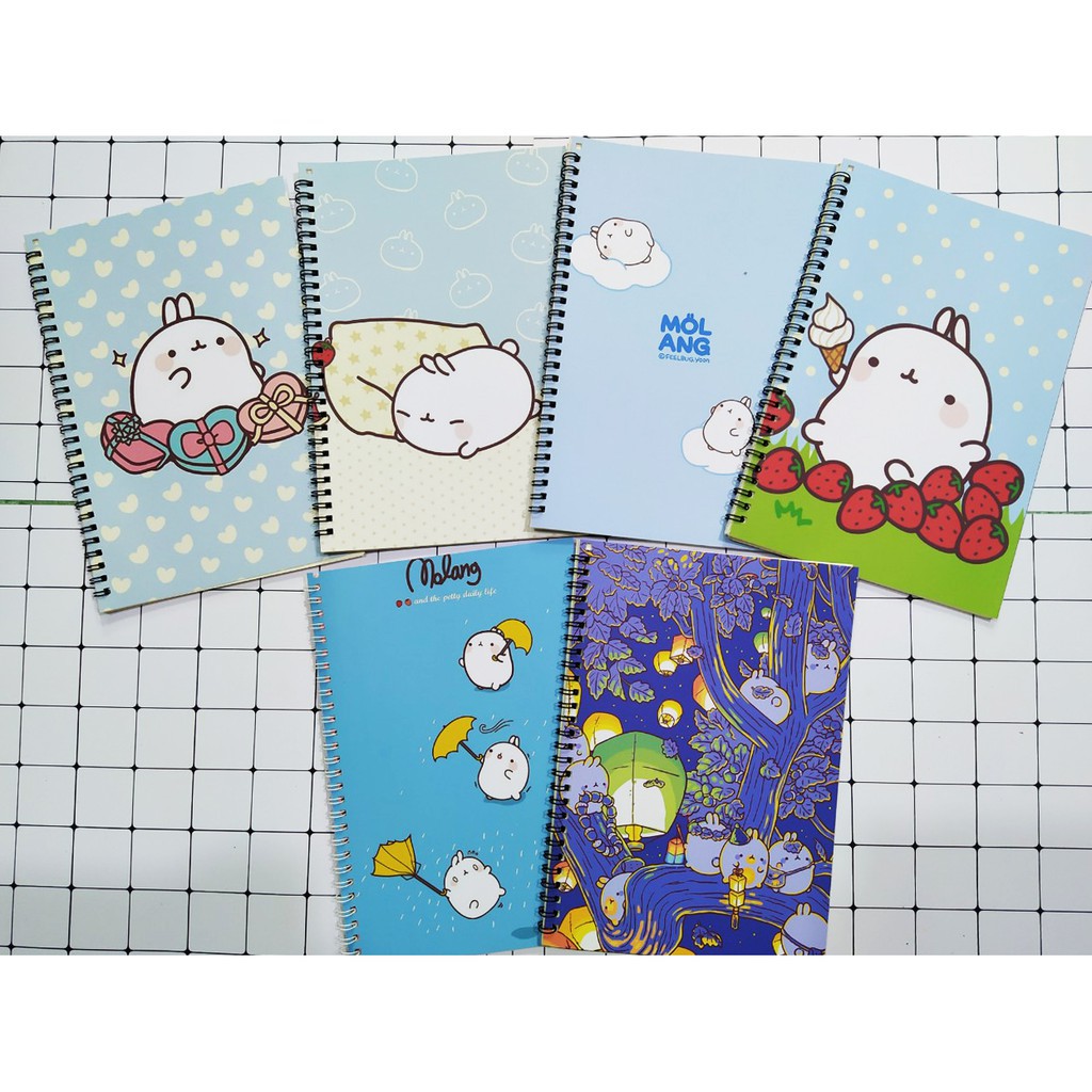 Sổ lò xo molang SLX11 100 trang 14x20cm A5