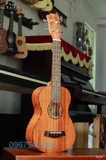 Đàn ukulele gỗ concert 24ink