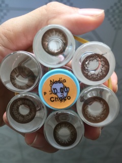 Lens màu chocco không độ 55k