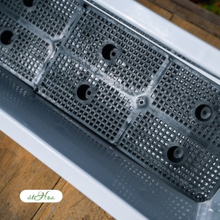 Khay trồng rau chữ nhật Trắng đủ size (Hàng công ty)