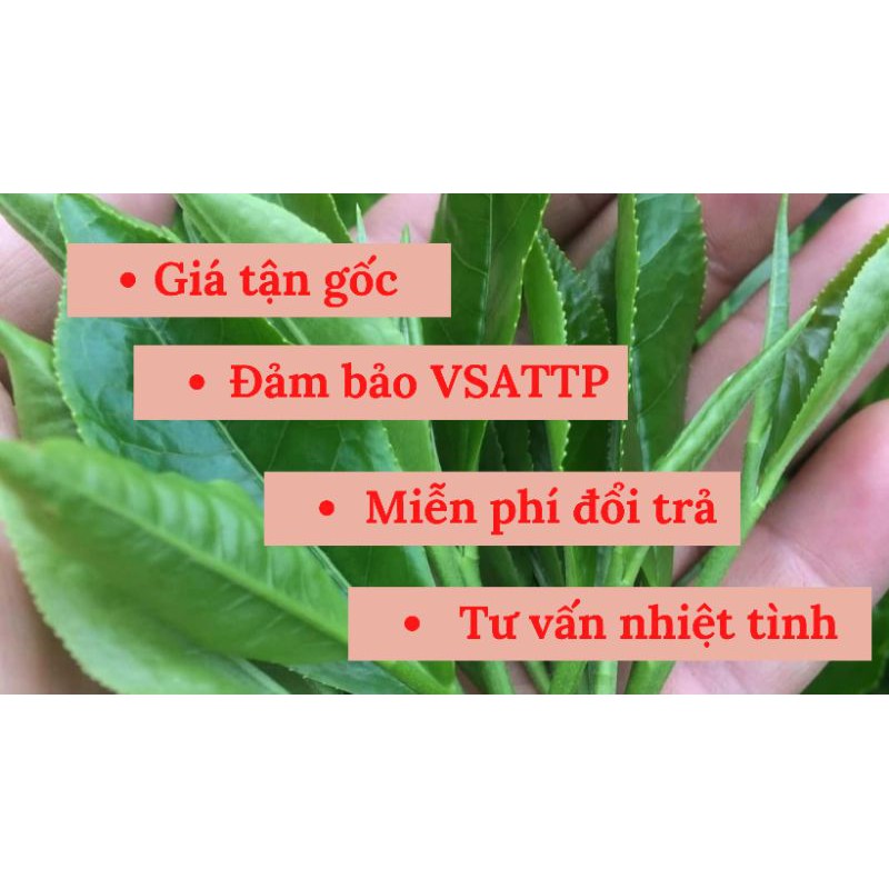 Chè búp Thái Nguyên - Loại Ngon gói 20g | BigBuy360 - bigbuy360.vn