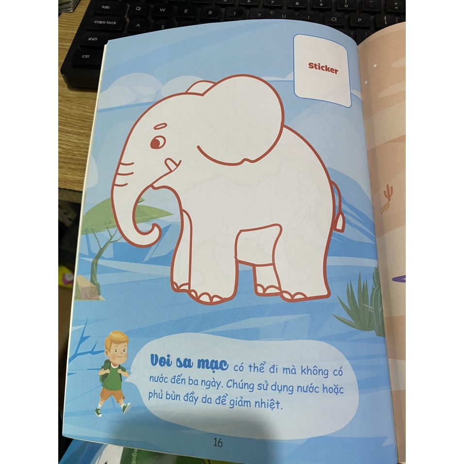Sách - Con tô màu thám hiểm ( Megabooks )
