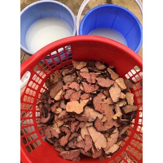 Hà Thủ Ô Khô 1kg