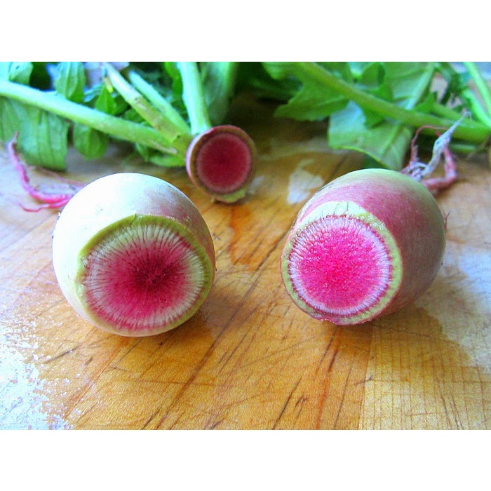 (Gói 100 Hạt)Hạt GiốngCủ Cải Ruột Hồng  F1 Loại dễ trồng kháng sâu bệnh năng suất cao