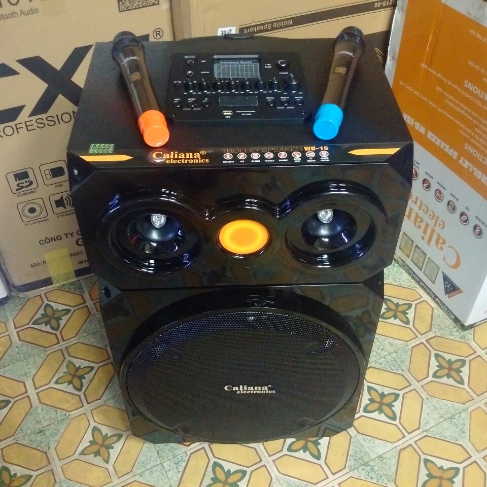 CALIANA WD 15 LOA KÉO BASS 4 TẤC