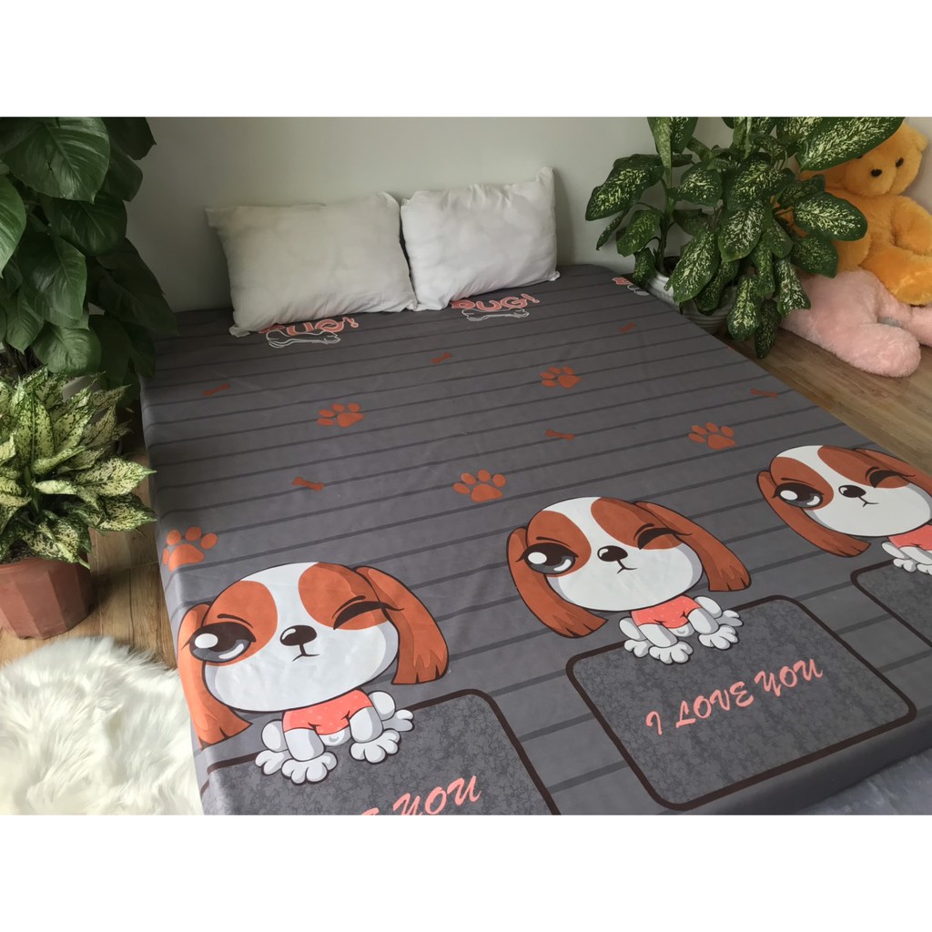 Ga Chống Thấm Cotton Hàn Quốc Chó Tai Dài CTT27